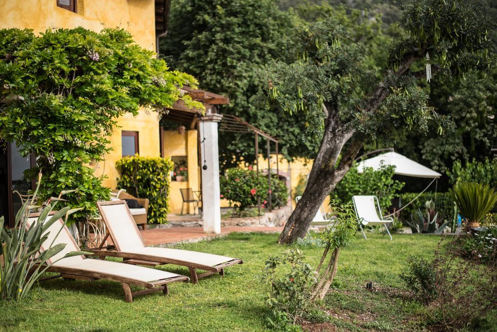 B&B Calandrella Maratea Exteriör bild
