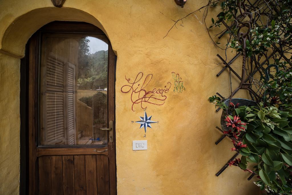 B&B Calandrella Maratea Exteriör bild