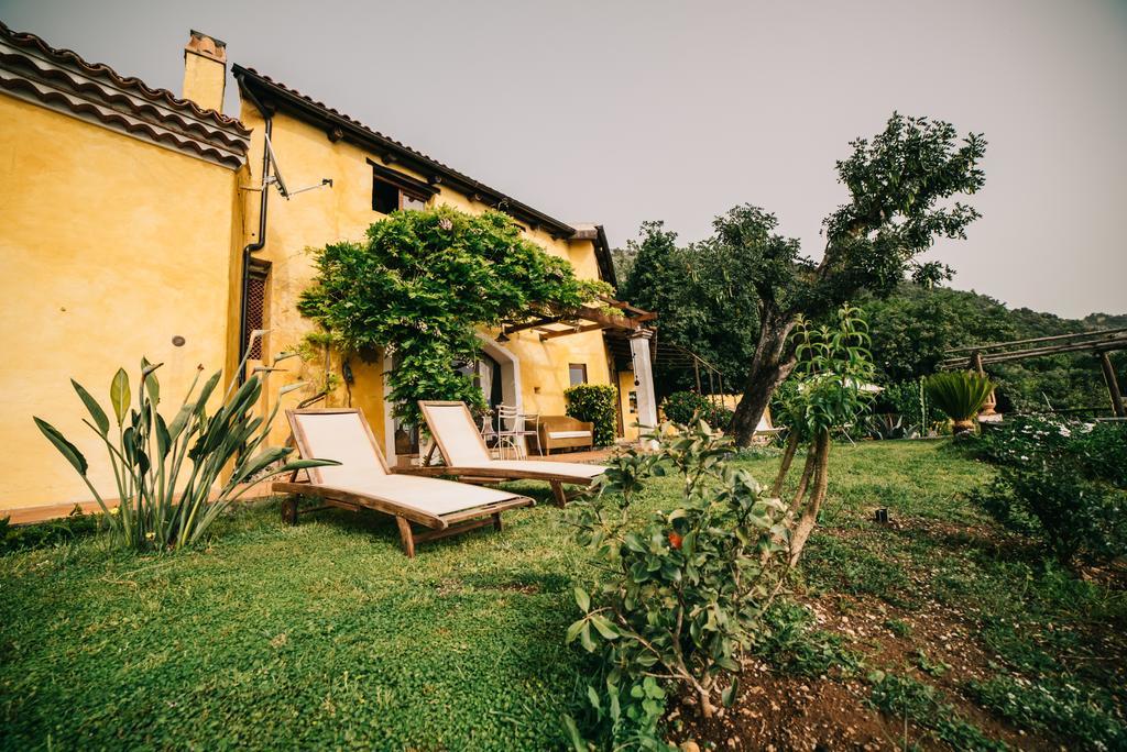 B&B Calandrella Maratea Exteriör bild