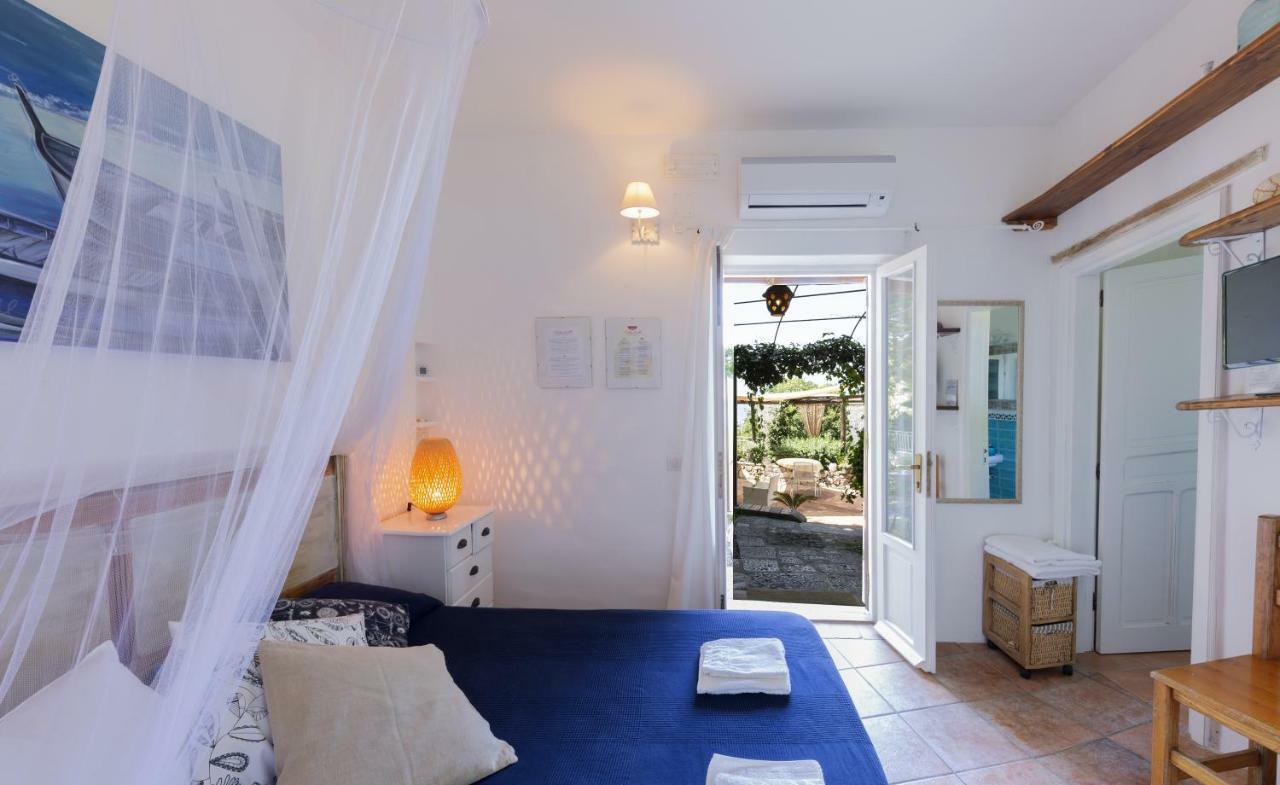 B&B Calandrella Maratea Exteriör bild